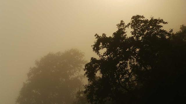 evening reflection night question